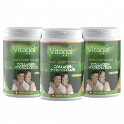 3 Frascos de 310g | Vitagel